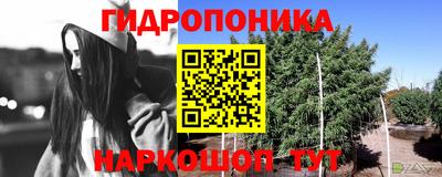 мдпв Малоярославец