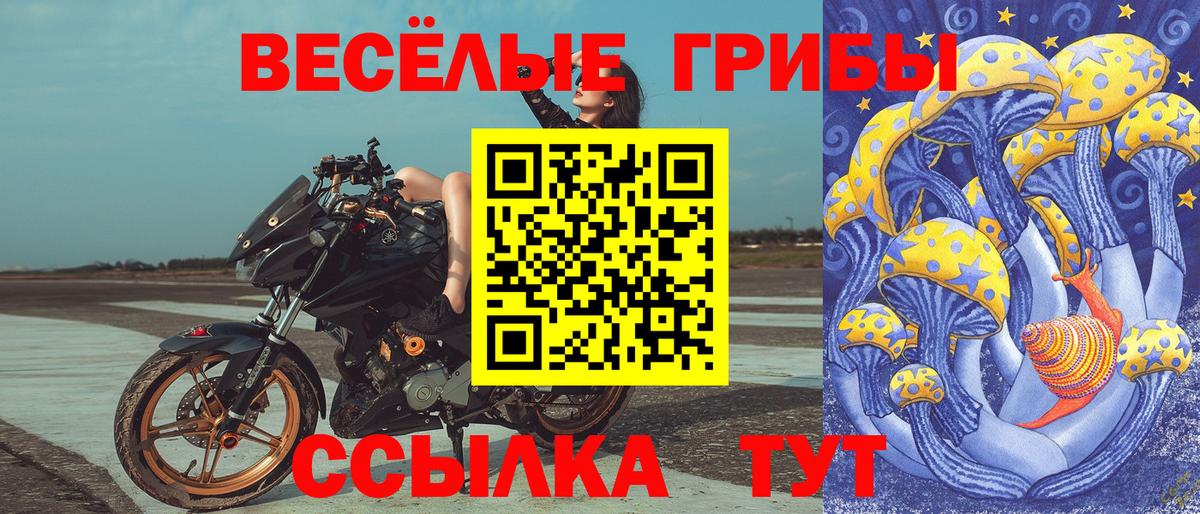 Псилоцибиновые грибы GOLDEN TEACHER  Вход с VPN  Торжок  Галлюциногенные грибы GOLDEN TEACHER 
