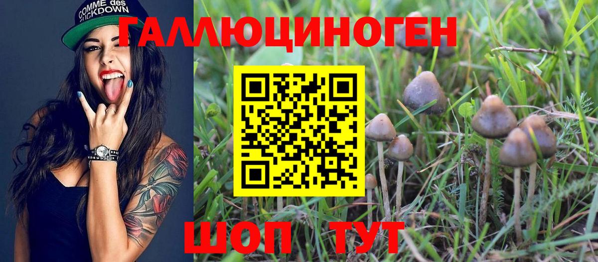 Псилоцибиновые грибы MAGIC MUSHROOMS Торжок